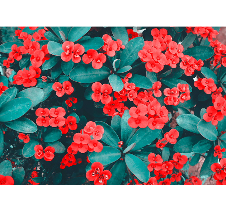 Rood bloemstuk bloemen foto behang - TenStickers