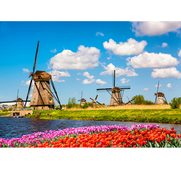 Windmolens en tulpen fotobehang stad - TenStickers