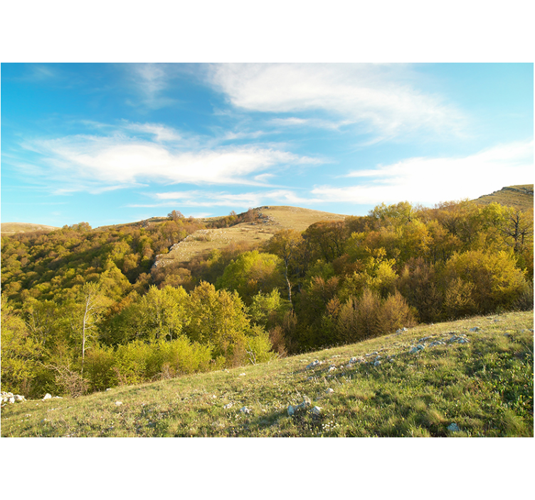 Fototapet landschap rollende heuvels - TenStickers