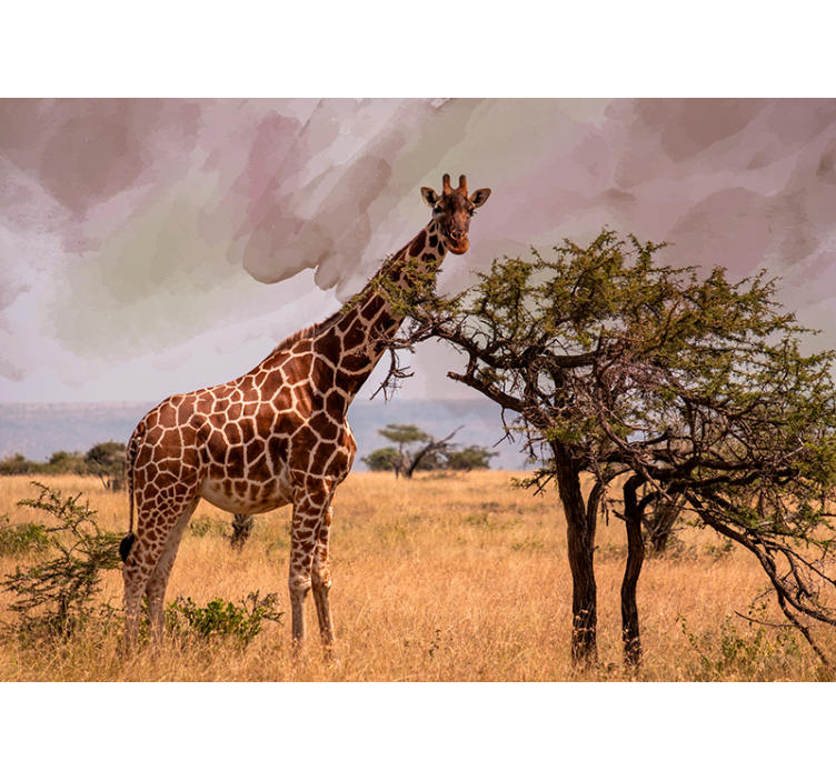 Giraffe in de natuur foto behang dieren - TenStickers
