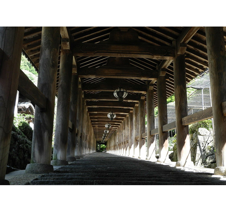 Foto behang bos houten pad uitzicht - TenStickers