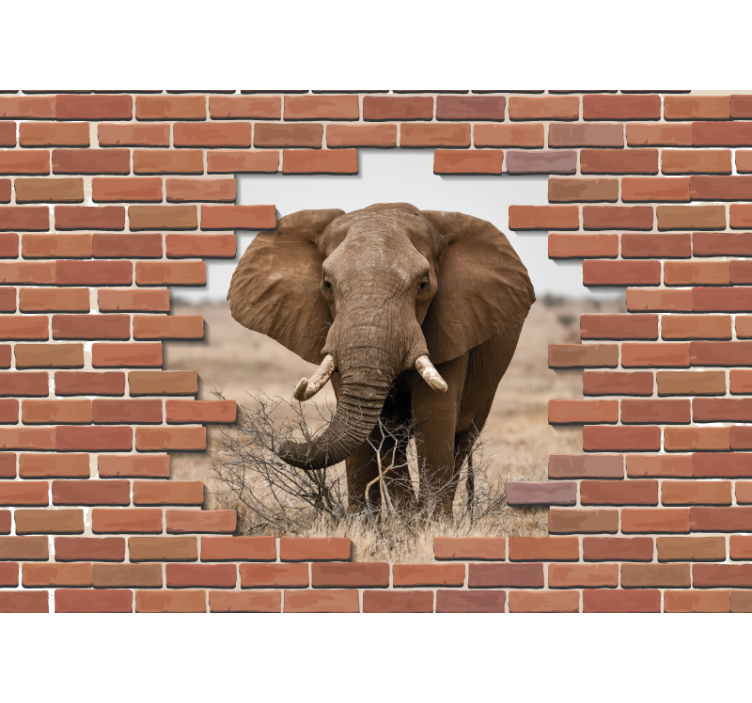 Majestueuze olifant focus foto behang dieren - TenStickers
