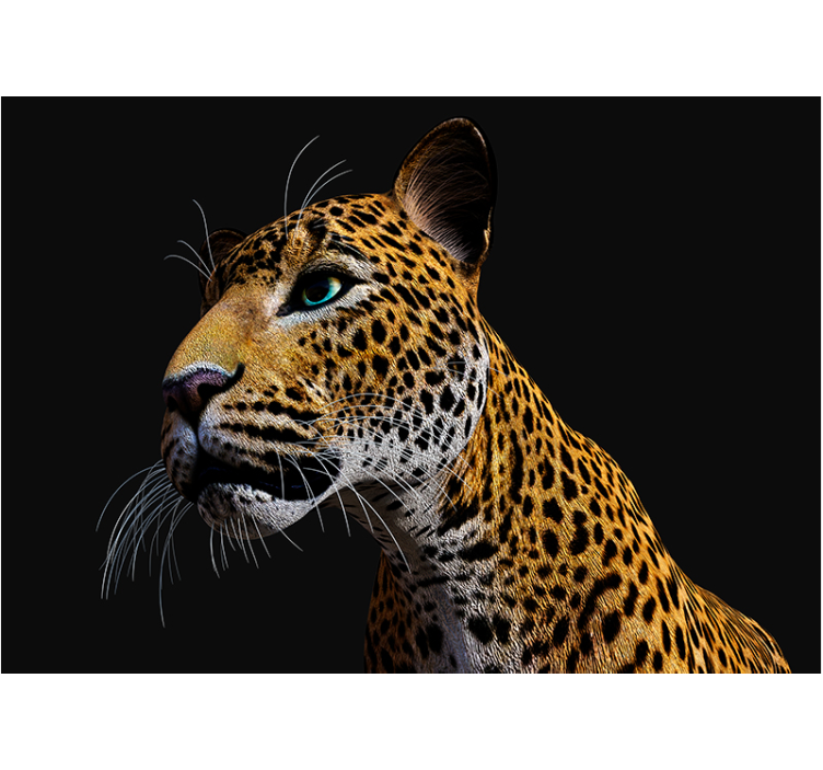 Foto behang dieren leopard zoom-in - TenStickers