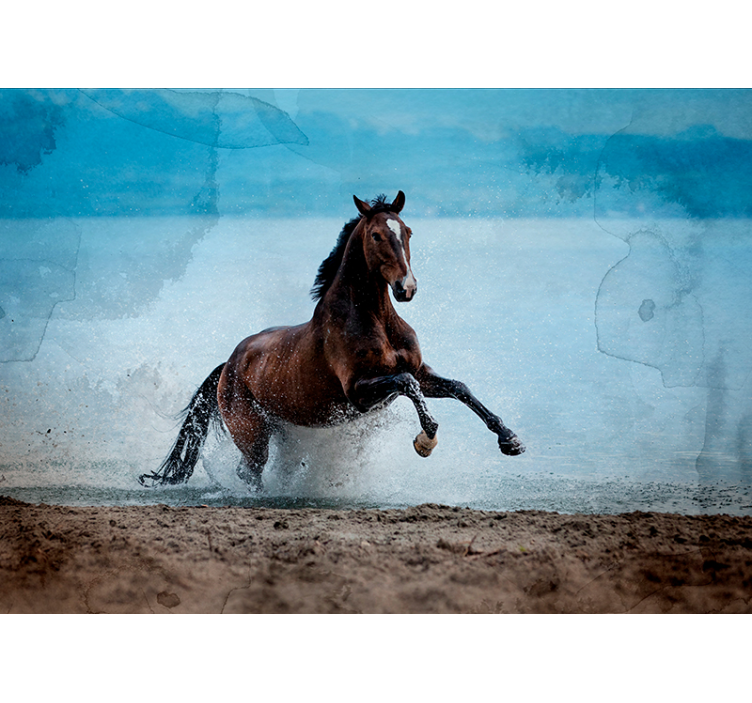 Galopperend paard foto behang dieren - TenStickers