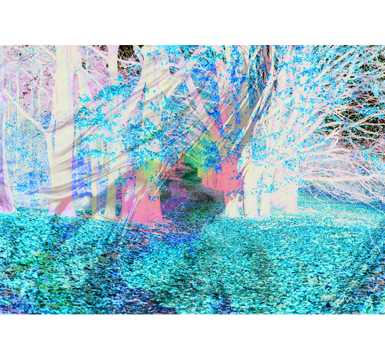 Herfstpad foto behang bos - TenStickers