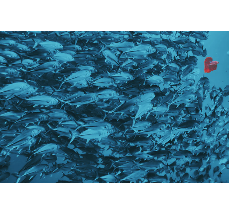 Foto behang dieren onderwater vissenschool - TenStickers