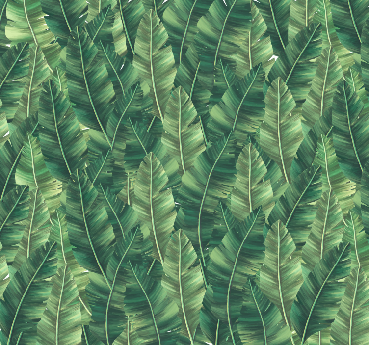 Grote bladeren fotobehang natuur - TenStickers