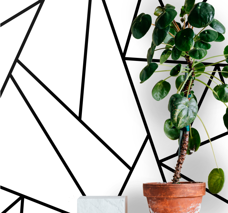 Abstract fotobehang geometrische zwarte lijnen - TenStickers