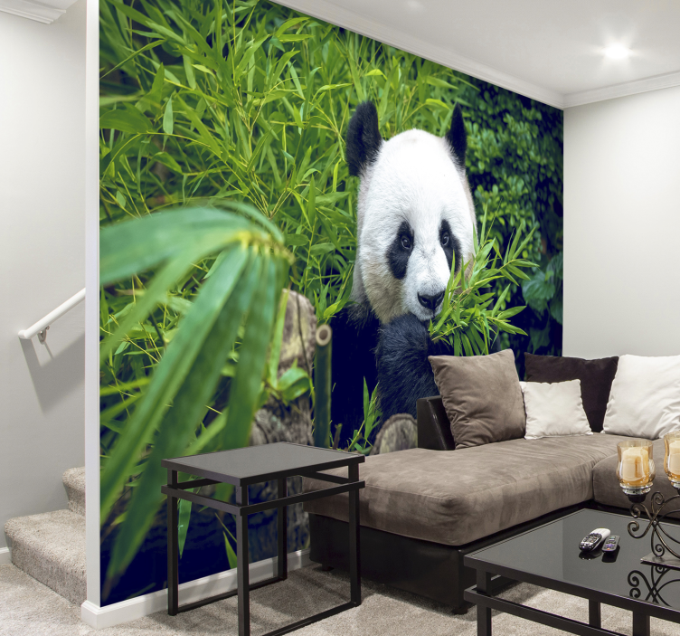 Bamboe fotobehang panda in een schaduw - TenStickers