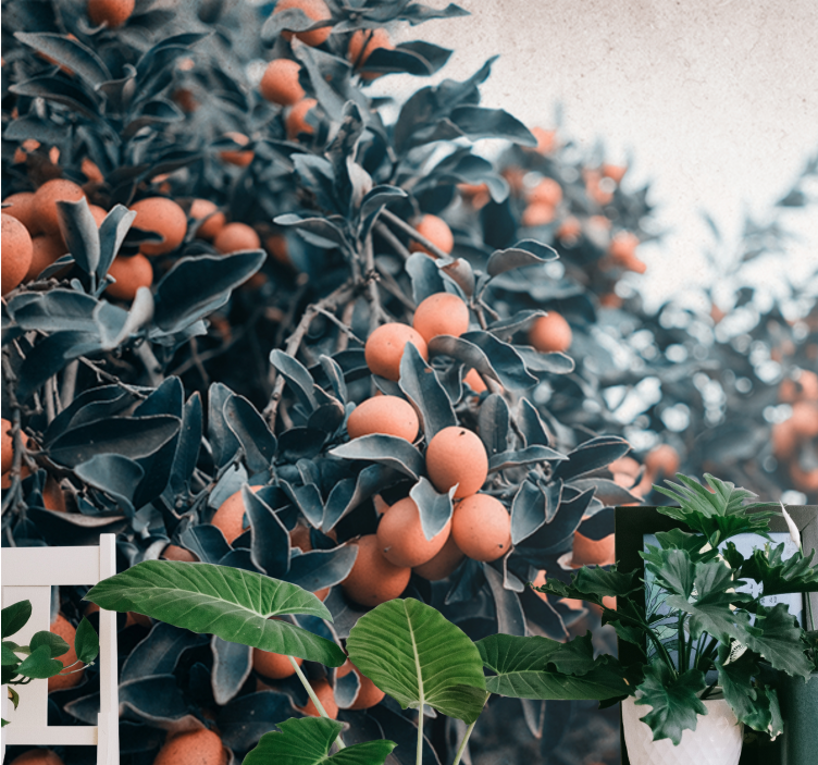Bloemen foto behang citrusvruchten tak - TenStickers