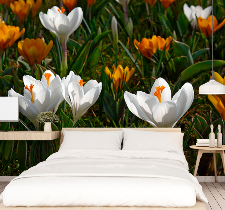 Bloemen foto behang crocus bloemen bloei - TenStickers
