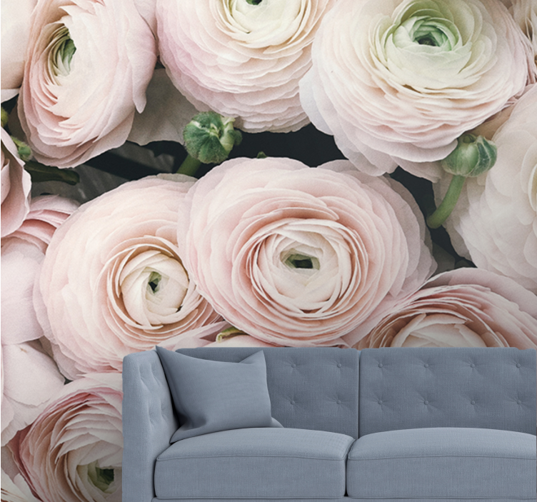 Bloemen foto behang delicate ranunculus bloemen - TenStickers