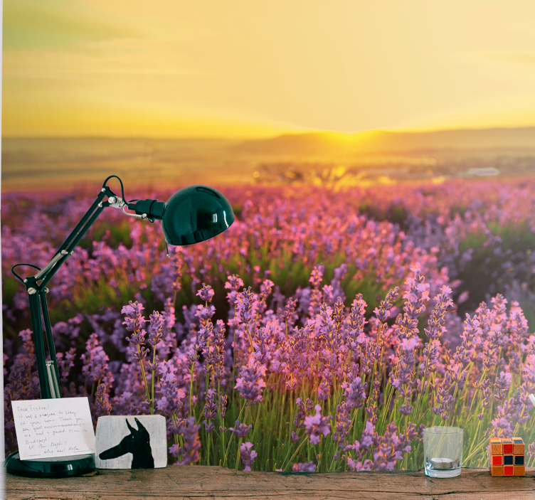 Bloemen foto behang lavendelweide dusk - TenStickers