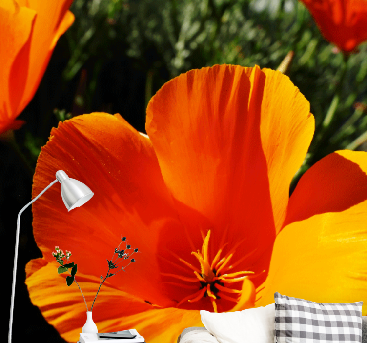 Bloemen foto behang oranje bloem close-up - TenStickers