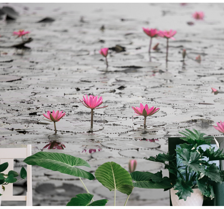 Bloemen foto behang roze lotus bloesems - TenStickers