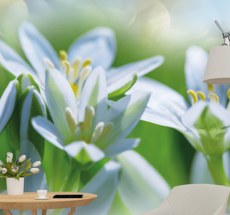 Bloemen foto behang zachte witte bloesems - TenStickers