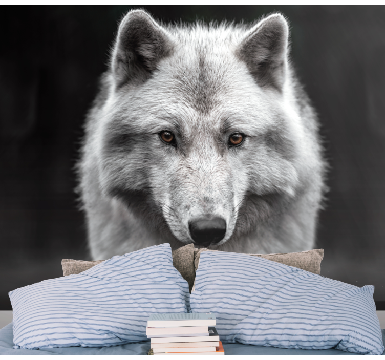 Fotobehang dieren Witte wolf - TenStickers