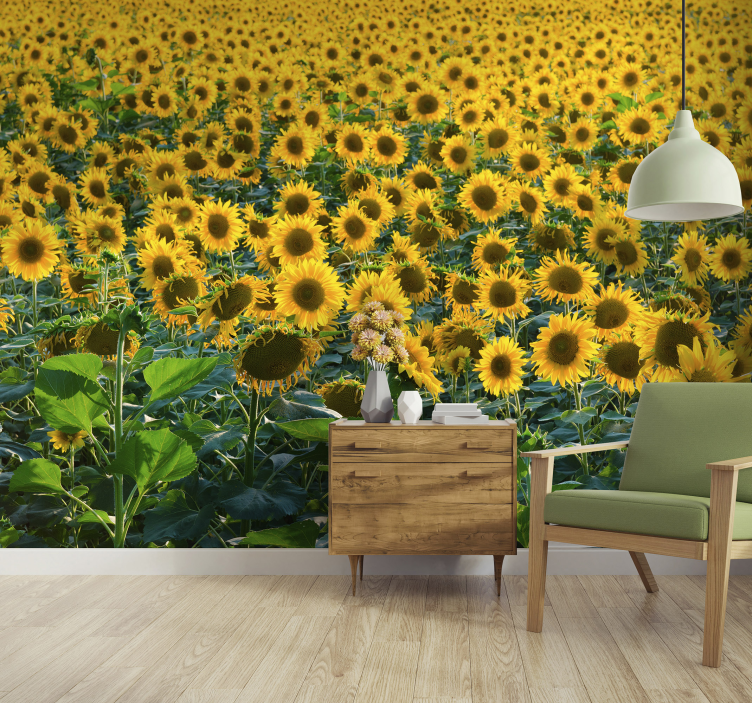 Enorme zonnebloem veld fotobehang - TenStickers
