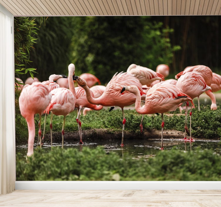 Flamingo-bijeenkomst foto behang dieren - TenStickers