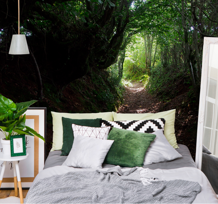 Foto behang bos boswandeling pad - TenStickers