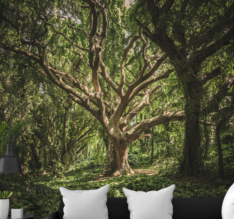 Foto behang bos majestueuze boomtoppen - TenStickers