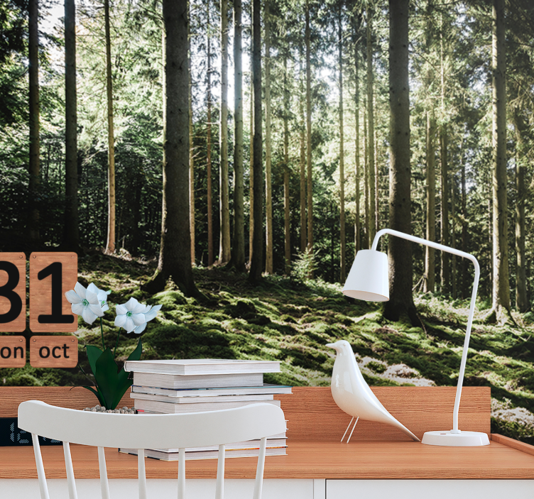 Foto behang bos rustige bos scène - TenStickers