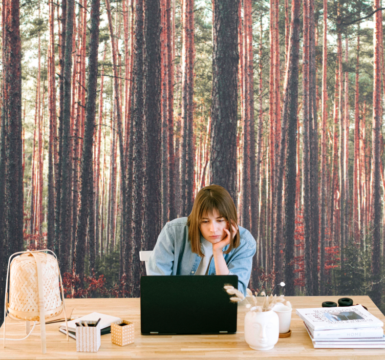 Foto behang bos rustige dennenbossen - TenStickers