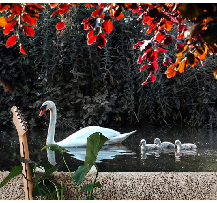 Foto behang dieren elegante zwanenfamilie - TenStickers