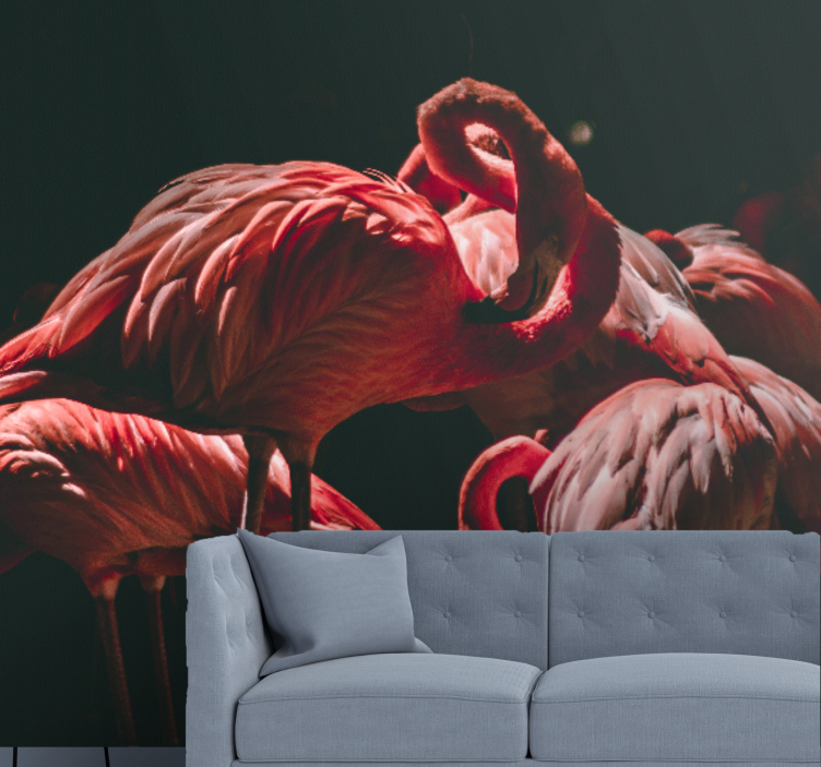 Foto behang dieren flamingo sereniteit - TenStickers