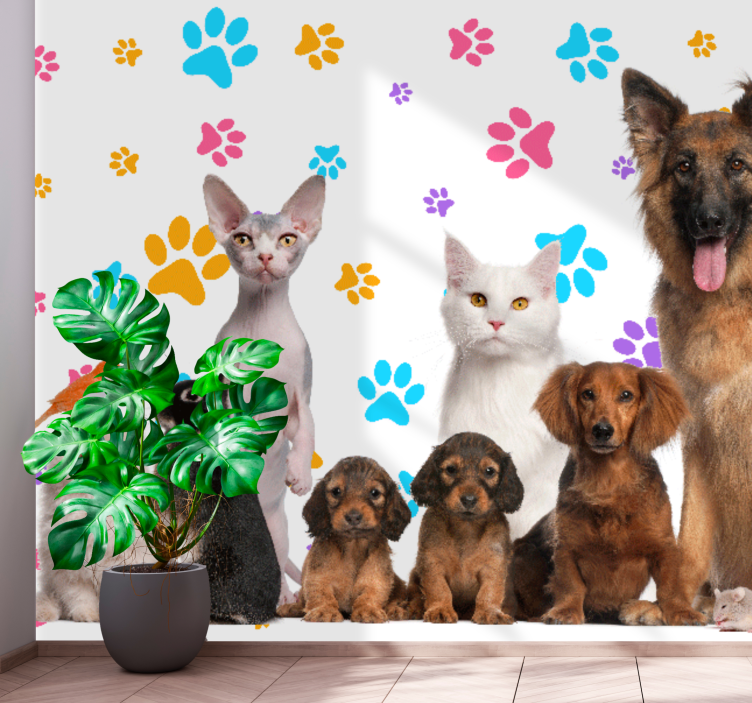 Foto behang dieren gelukkige huisdieren compagnons - TenStickers