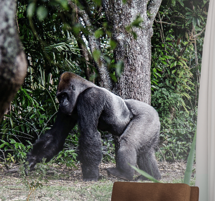 Foto behang dieren majestueuze gorilla wandeling - TenStickers