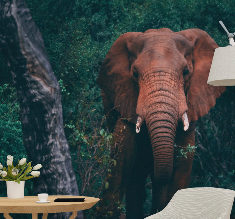 Foto behang dieren majestueuze olifanten aanwezigheid - TenStickers