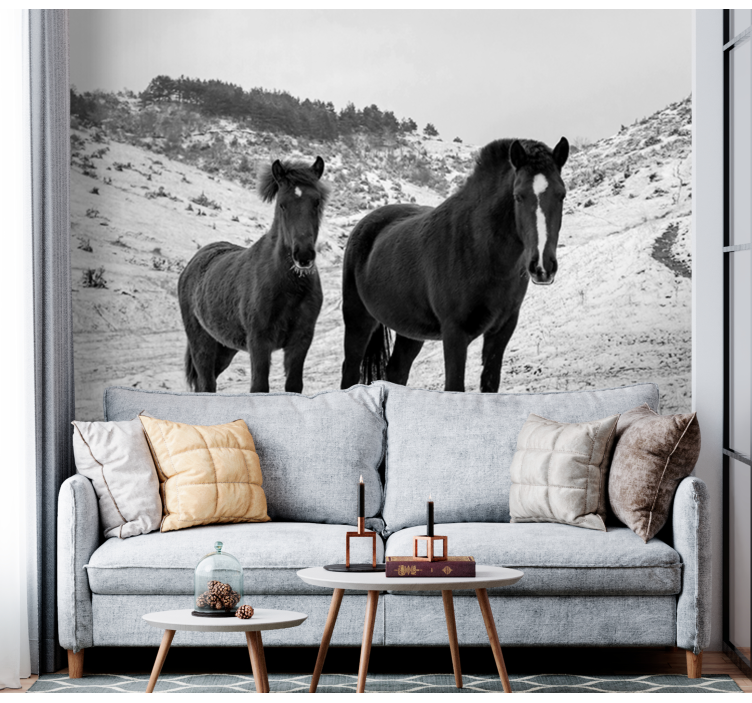 Foto behang dieren majestueuze zwarte paarden - TenStickers
