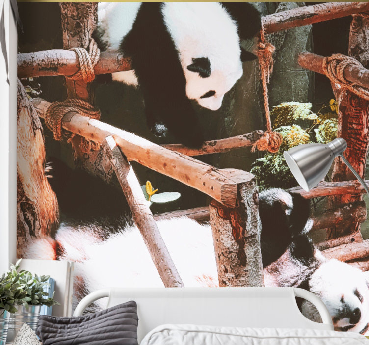 Foto behang dieren panda speeltijd scène - TenStickers
