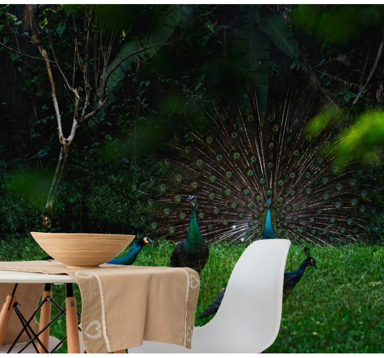 Foto behang dieren pauw met uitgespreide veren - TenStickers