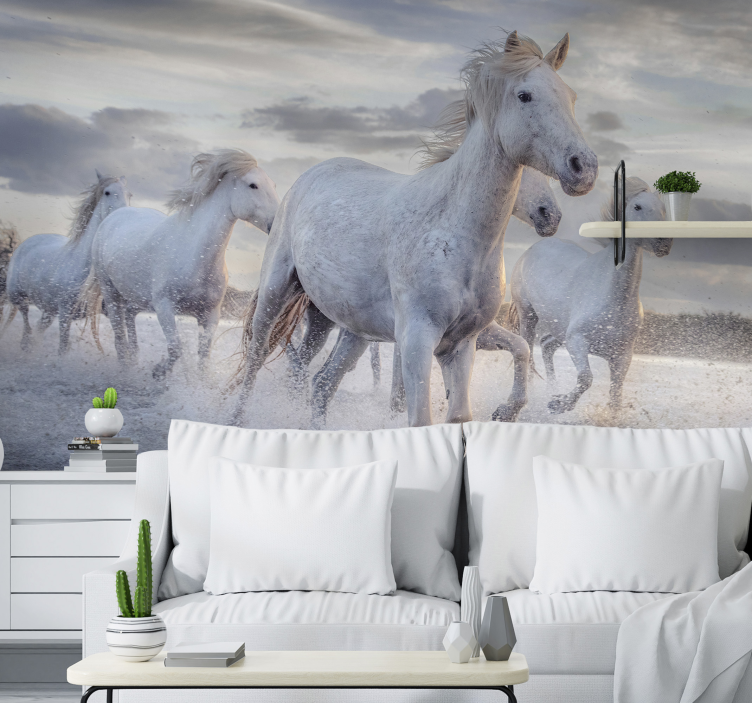 Foto behang dieren witte renpaarden - TenStickers