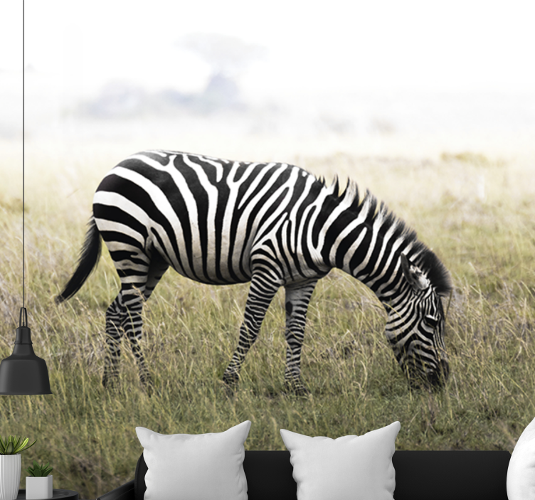 Foto behang dieren zebra graast serenely - TenStickers