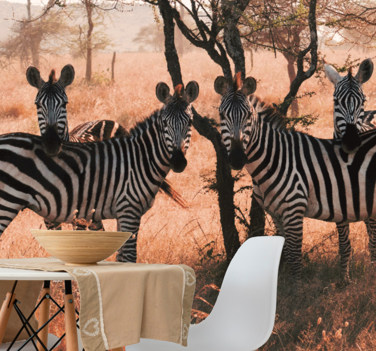 Foto behang dieren zebras in de natuur - TenStickers