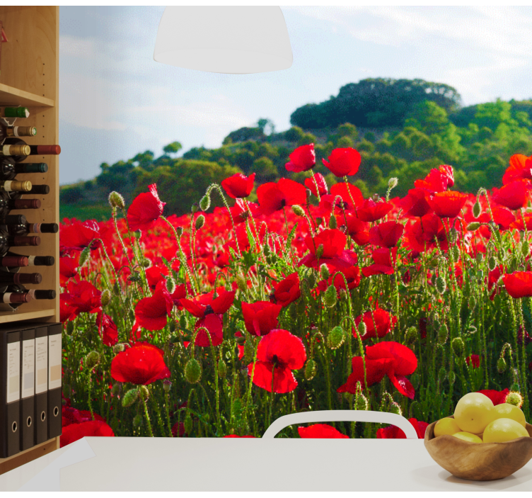 Fotobehang klaprozen rode klaprozenveld - TenStickers