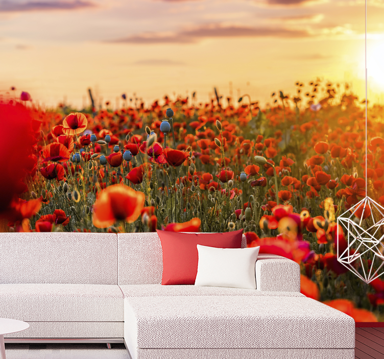 Fotobehang klaprozen stralend poppy field - TenStickers