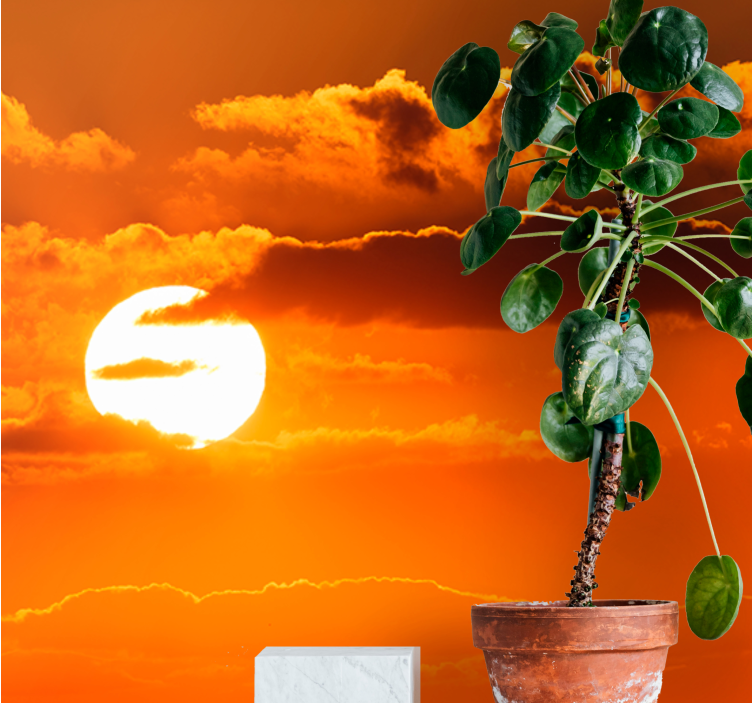 Fotobehang lucht zonsondergang boven de wolken - TenStickers