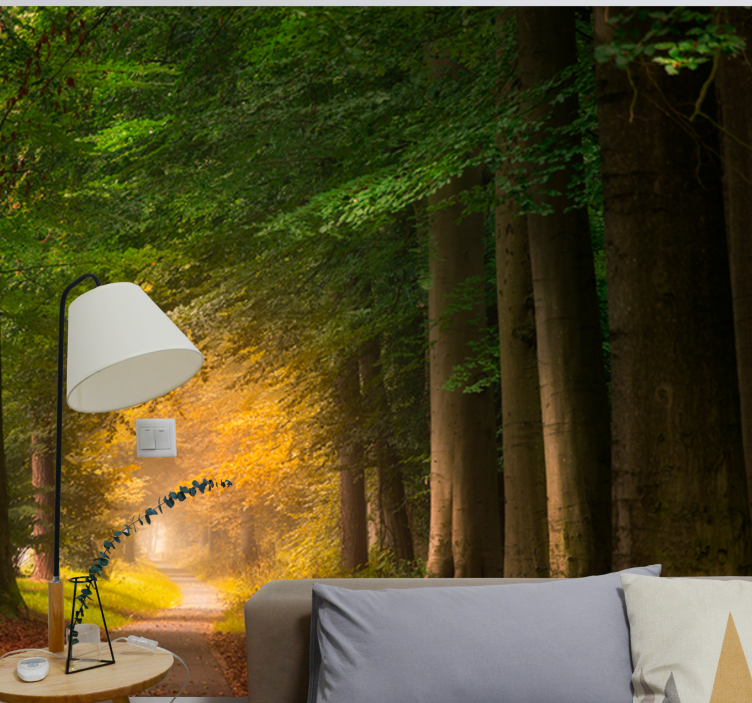 Fotobehang natuur bospaadje scène - TenStickers