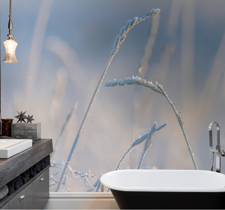 Fotobehang natuur frostige graspunten - TenStickers