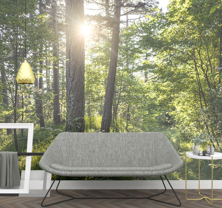 Fotobehang natuur glanzend bospad - TenStickers