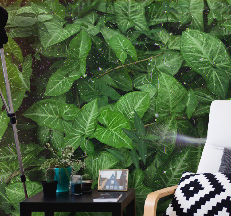 Fotobehang natuur levendige bladcompositie - TenStickers