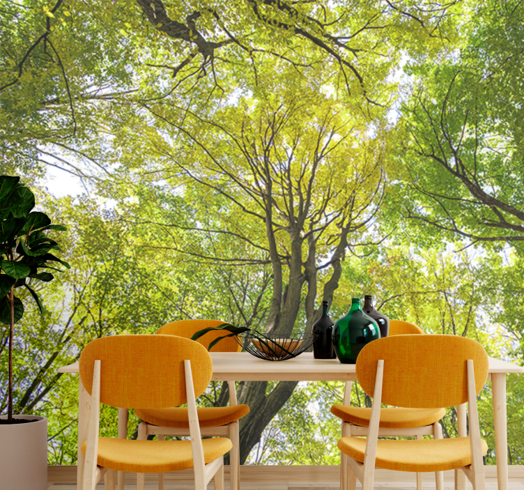 Fotobehang natuur lush forest canopy - TenStickers