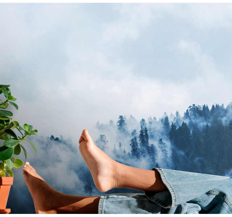 Fotobehang natuur mistig boslandschap - TenStickers