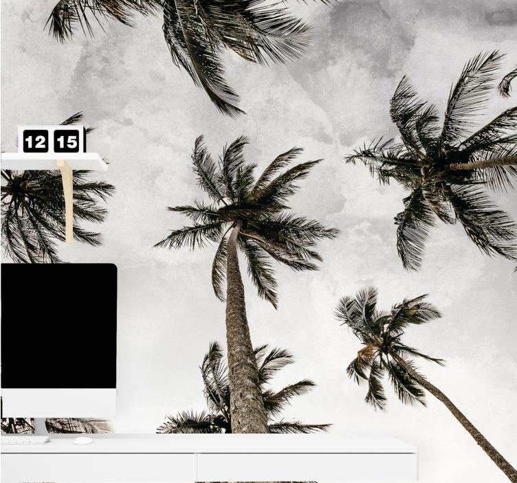 Fotobehang natuur palmboombladeren canopy - TenStickers