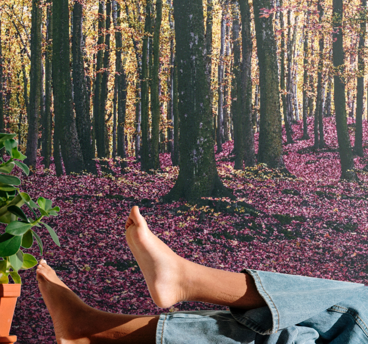 Fotobehang natuur rustige bos scène - TenStickers