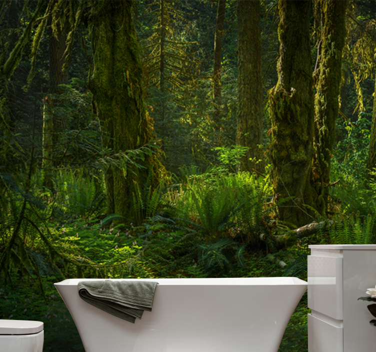 Fotobehang natuur serene bos ontspanning - TenStickers